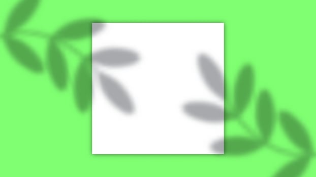 Leaves Overlay Scene Background with Copy Space Area. Suitable for Product Promotion vector