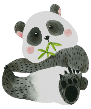 Cute bear animal character watercolor png