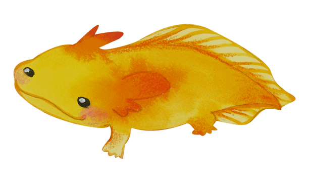 Cute animal character watercolor png