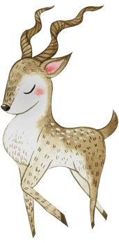 Cute animal character watercolor png