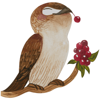 Cute owl animal character watercolor png