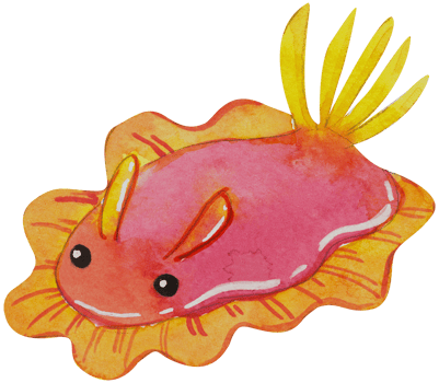 Cute animal character watercolor png