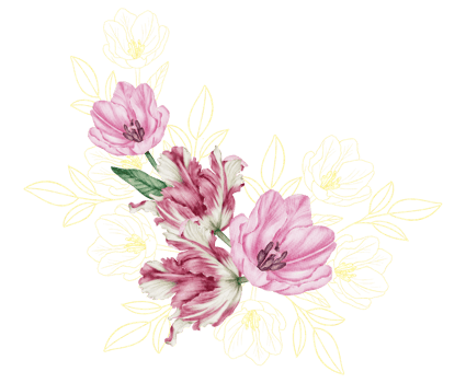Watercolor Floral Botanical pink tulip png