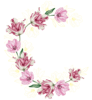 Watercolor Floral Botanical pink tulip png