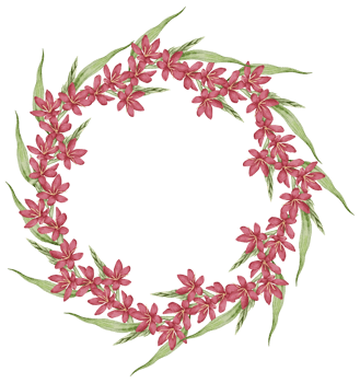 Watercolor Pink Floral Botanical png