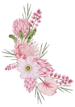 Watercolor Pink Floral Botanical png