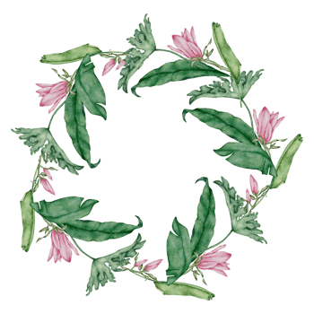 Watercolor Pink Floral Botanical png