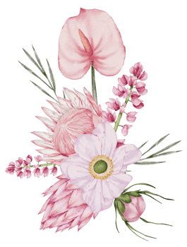 Watercolor Pink Floral Botanical png
