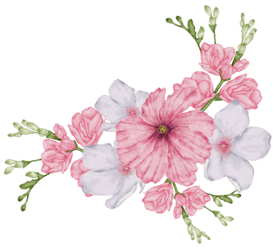 Watercolor Pink Floral Botanical png