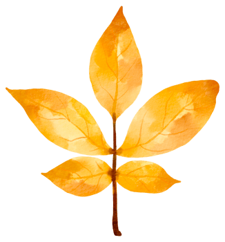 Autumn Fall leaf plant watercolor png