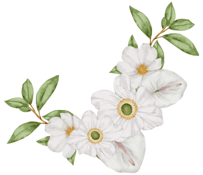Watercolor Floral Botanical png
