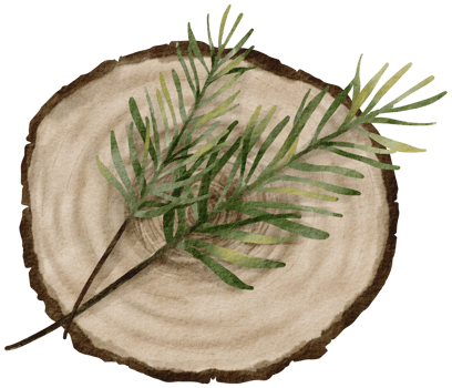 Winter Christmas ornament watercolor element png