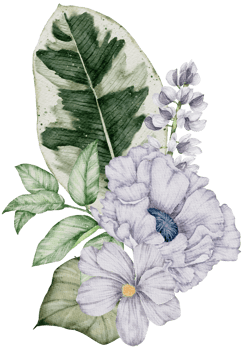 Watercolor Floral Botanical png
