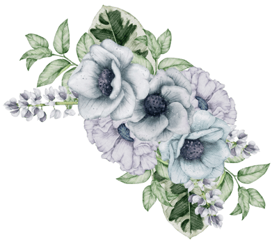 Watercolor Floral Botanical png