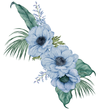 Watercolor Floral Botanical png