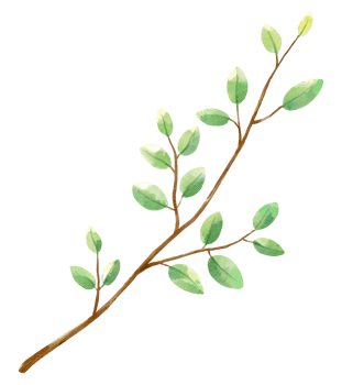 foliage watercolor leaf hand painted png