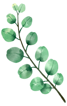 foliage watercolor leaf hand painted png