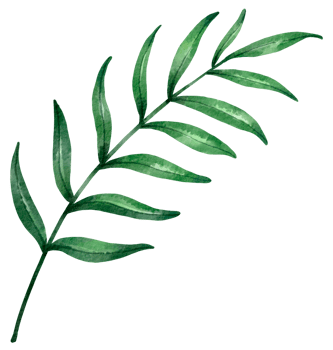 foliage watercolor leaf hand painted png