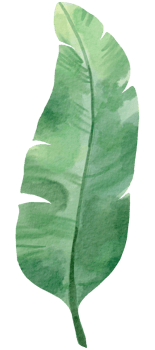 foliage watercolor leaf hand painted png