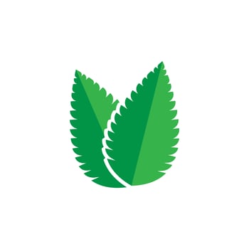 mint leaf logo vector