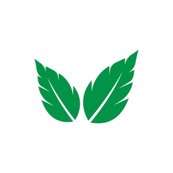mint leaf logo vector