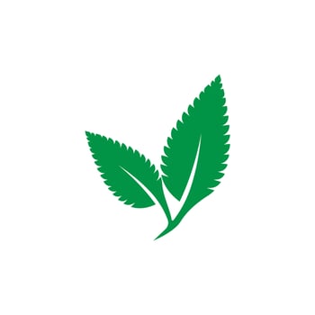 mint leaf logo vector