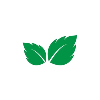 mint leaf logo vector