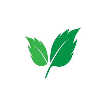 mint leaf logo vector