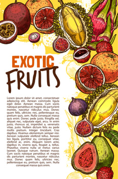 Vector fruit shop sketch poster of exotic fruits