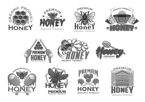 Honey beekeeping bee and honecomb vector icons