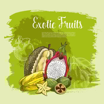 Vector poster of exotic fruits durian or carambola