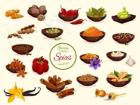 Spice, condiment and food seasoning poster vector