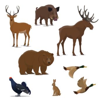 Wild forest animal and bird icon of hunting sport vector