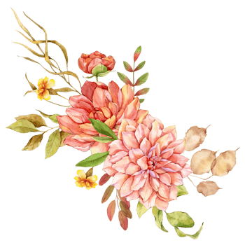 Hand Painted Autumn Floral Bouquets, Floral Compositions with Autumn Flowers png