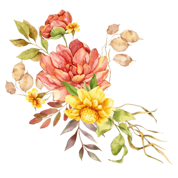 Hand Painted Autumn Floral Bouquets, Floral Compositions with Autumn Flowers png