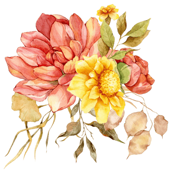 Hand Painted Autumn Floral Bouquets, Floral Compositions with Autumn Flowers png