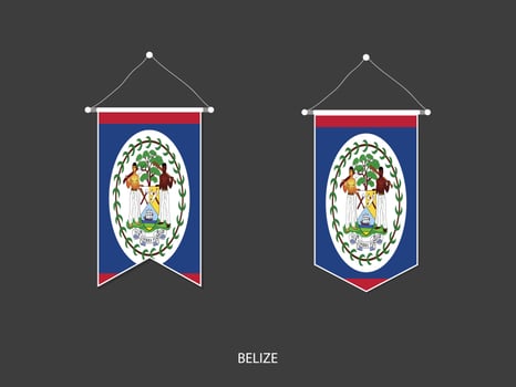 Belize flag in various shape, Soccer Flag Pennant Vector ,Vector illustration.
