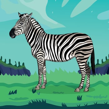 Zebra standing , vector illustration