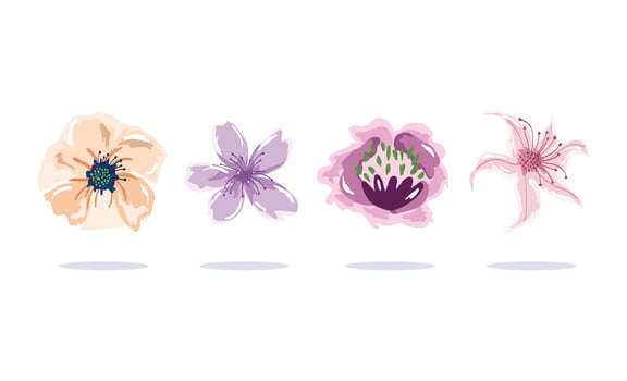 delicate flowers decoration ornament nature floral design vector