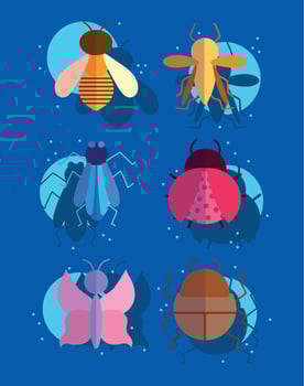 bugs small animals in cartoon style on blue background vector