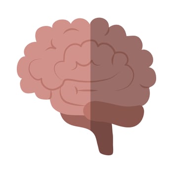 brain human organ creativity flat icon with shadow vector