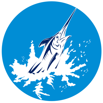 blue marlin swordfish jumping png