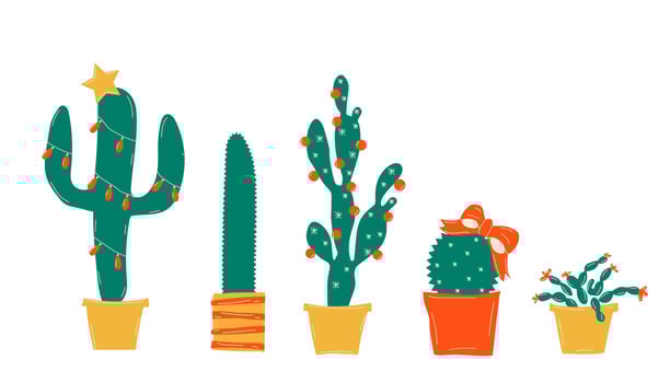 Winter holiday decorations. Christmas cactus, scandinavian style branches and xmas tree toys. Leaves, red berries and cacti with festive garlands vector clipart