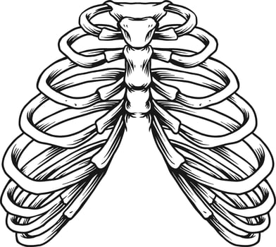 Ribcage weed leaf smoking monochrome vector