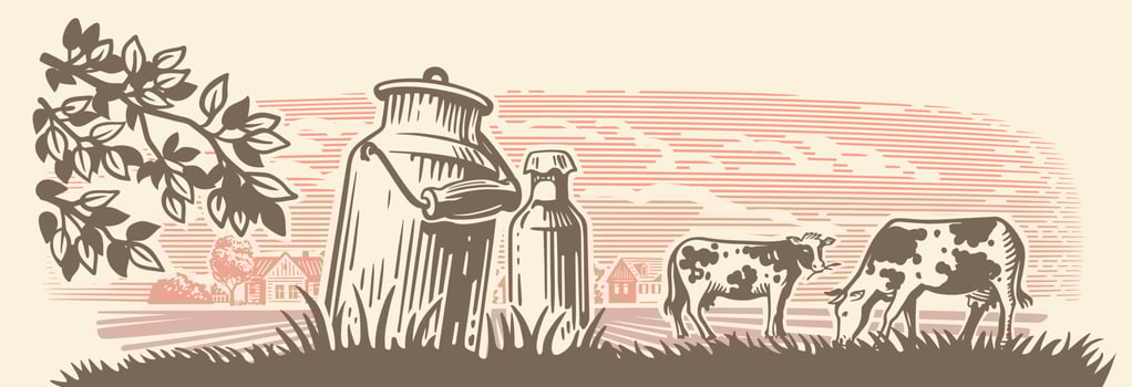 Cows on fram meadow vector. Hand drawn sketch livestock vector