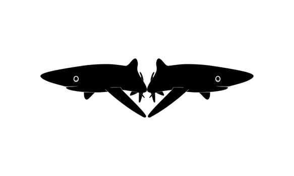 Shark Silhouette for Logo, Pictogram, Website, Art Illustration, Infographic, or Graphic Design Element. Vector Illustration