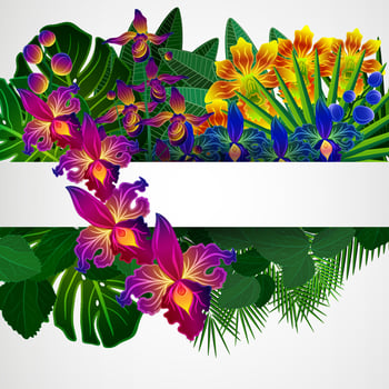 Tropical flowers and leaves. Floral design background. vector