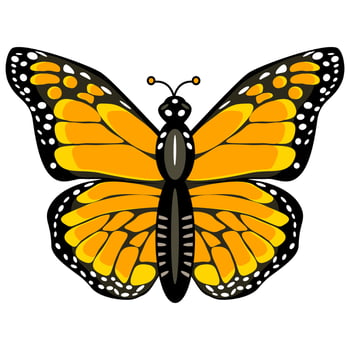Monarch butterfly in flat technique vector