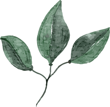 Green Leaf Watercolor Clip Art png