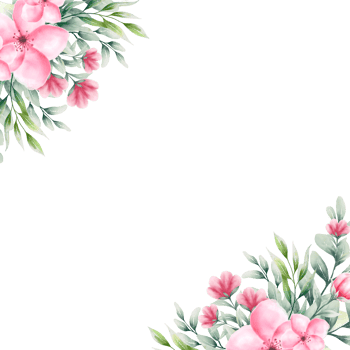 Watercolor pink flower frame png